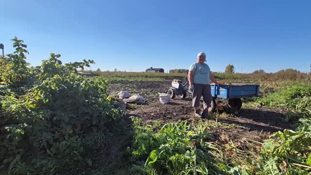 кому такие семечки обращайтесь,смеемся / сварила грибы/помидоры закатала