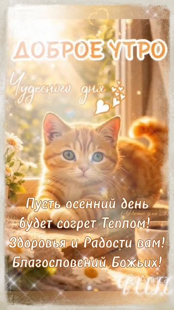 С добрым осенним утром!