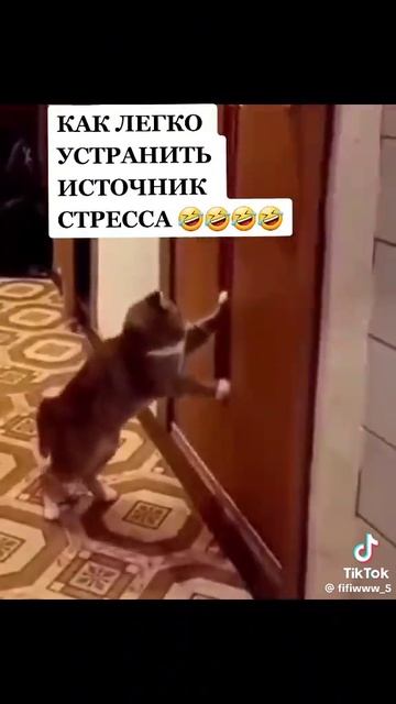 Хааххахаххахахаахаххахахахахах 🤣🤣🤣👈