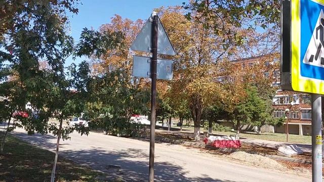 Зацвели каштаны 11-09-2026
