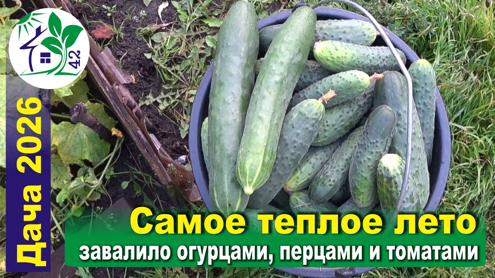 Дача и около
