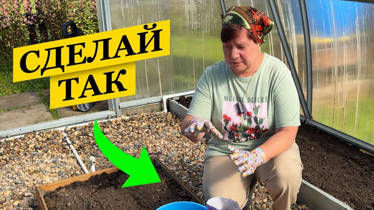 Главный секрет урожайной теплицы закладывается сейчас.