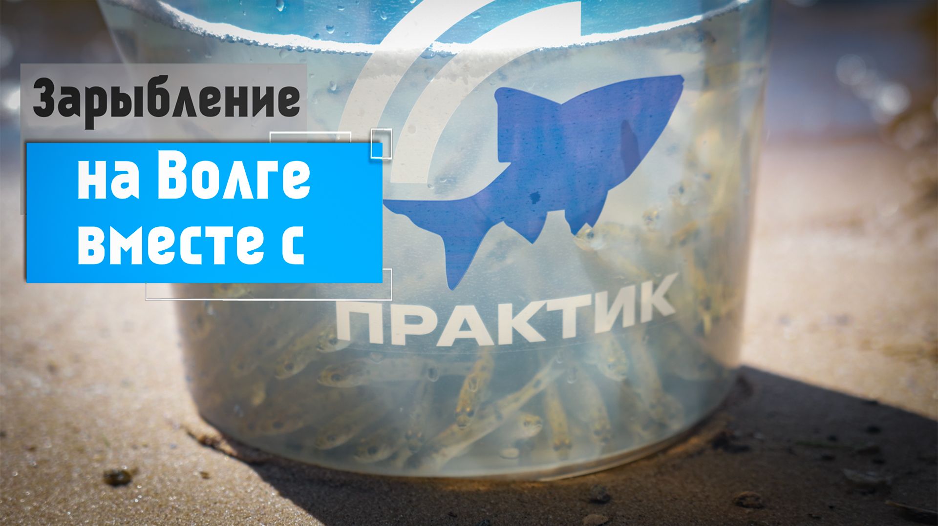 Зарыбление на Волге с Практик