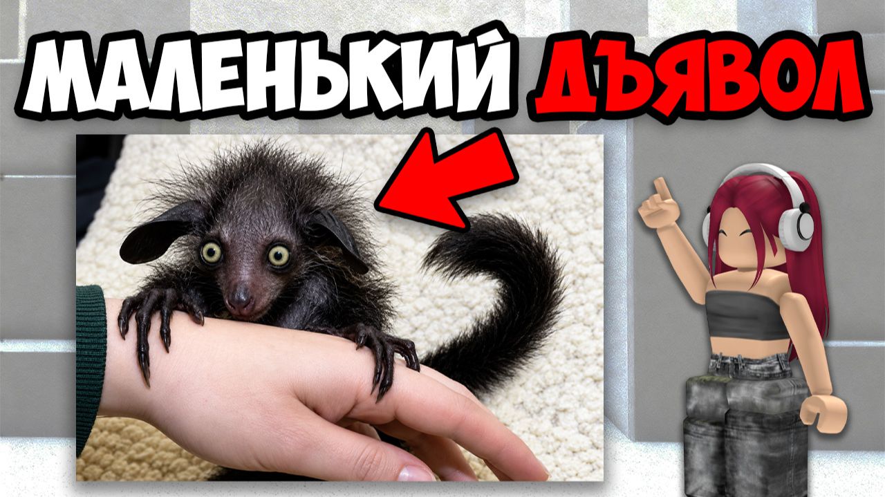 САМЫЕ СТРАННЫЕ ЖИВОТНЫЕ В МИРЕ (2 часть)