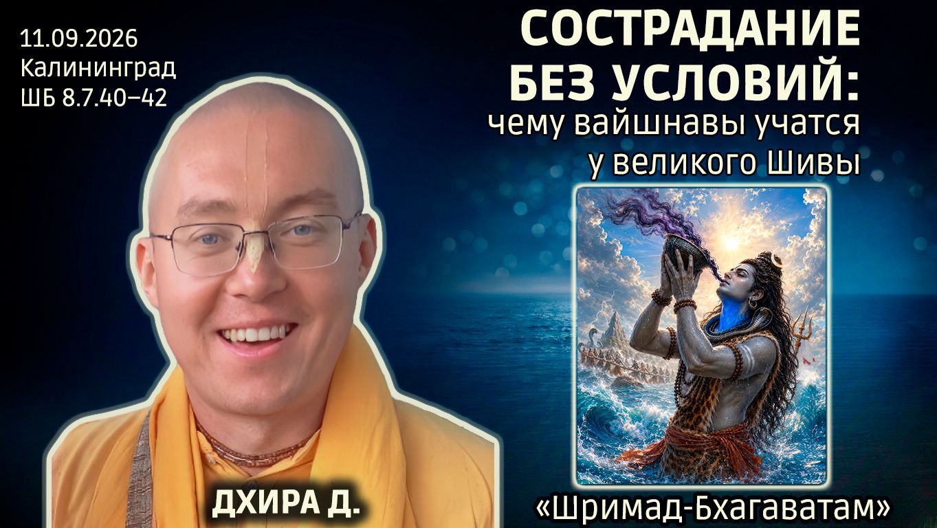 Дхира дас. «Шримад-Бхагаватам» в Калининграде