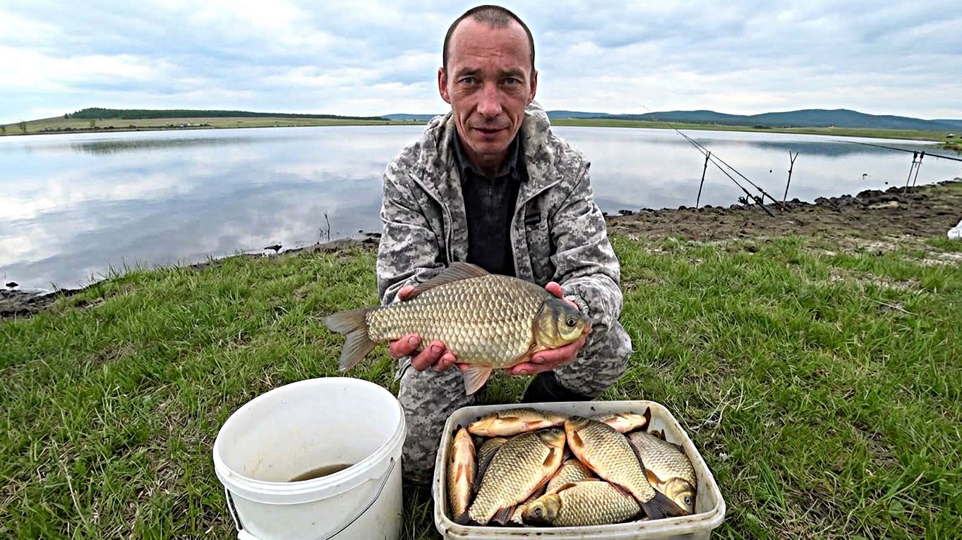 Крупный карась на донки.
