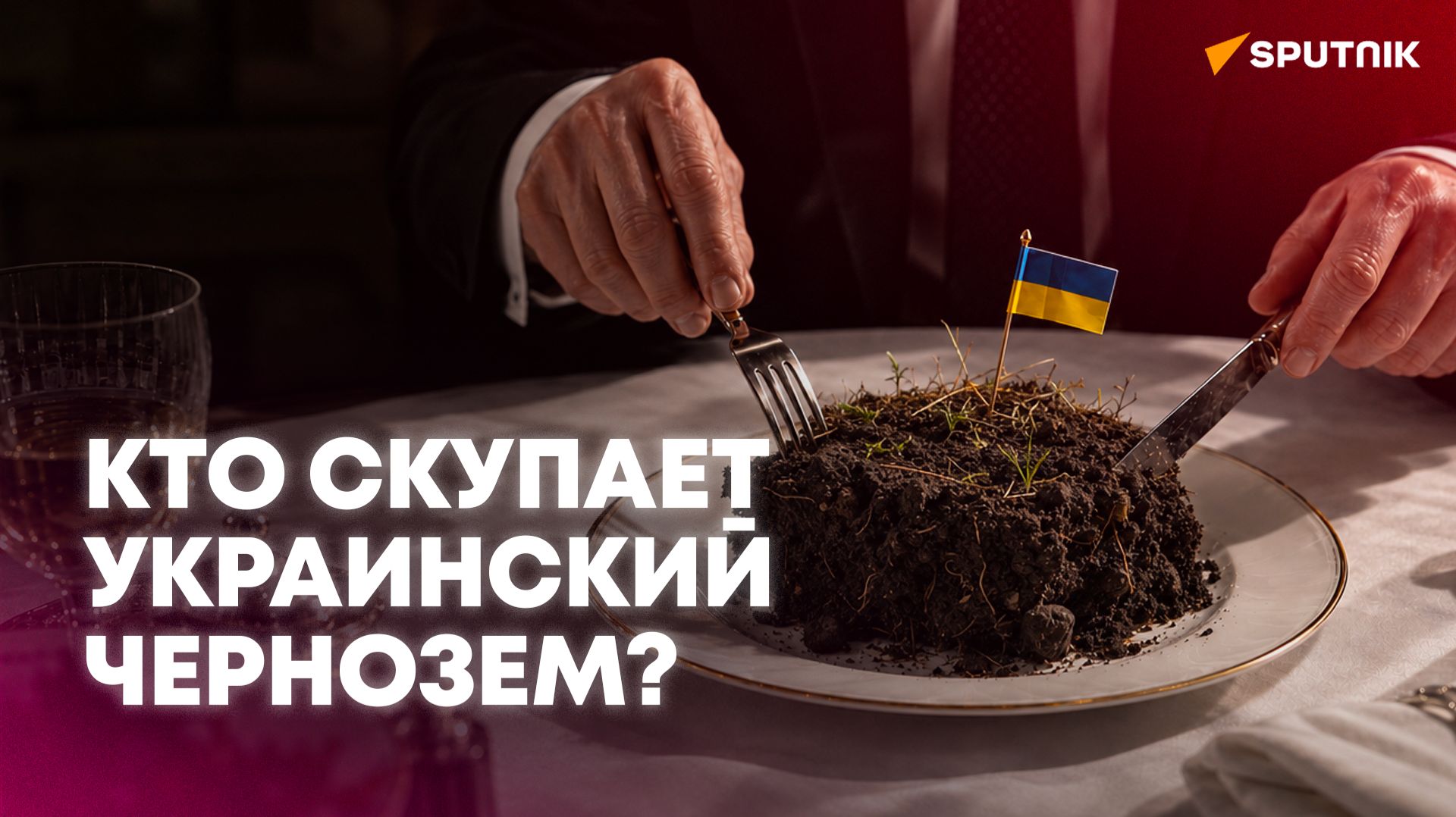 Земля на продажу: кто скупает украинский чернозем?