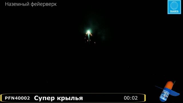 PFN40002 Супер крылья