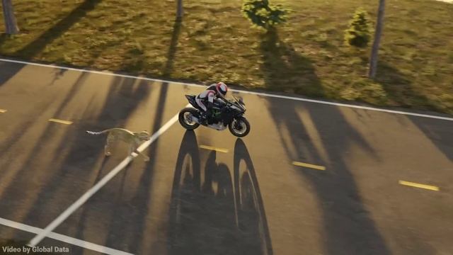 Гепард против Kawasaki Ninja H2R - Финальный тест скорости