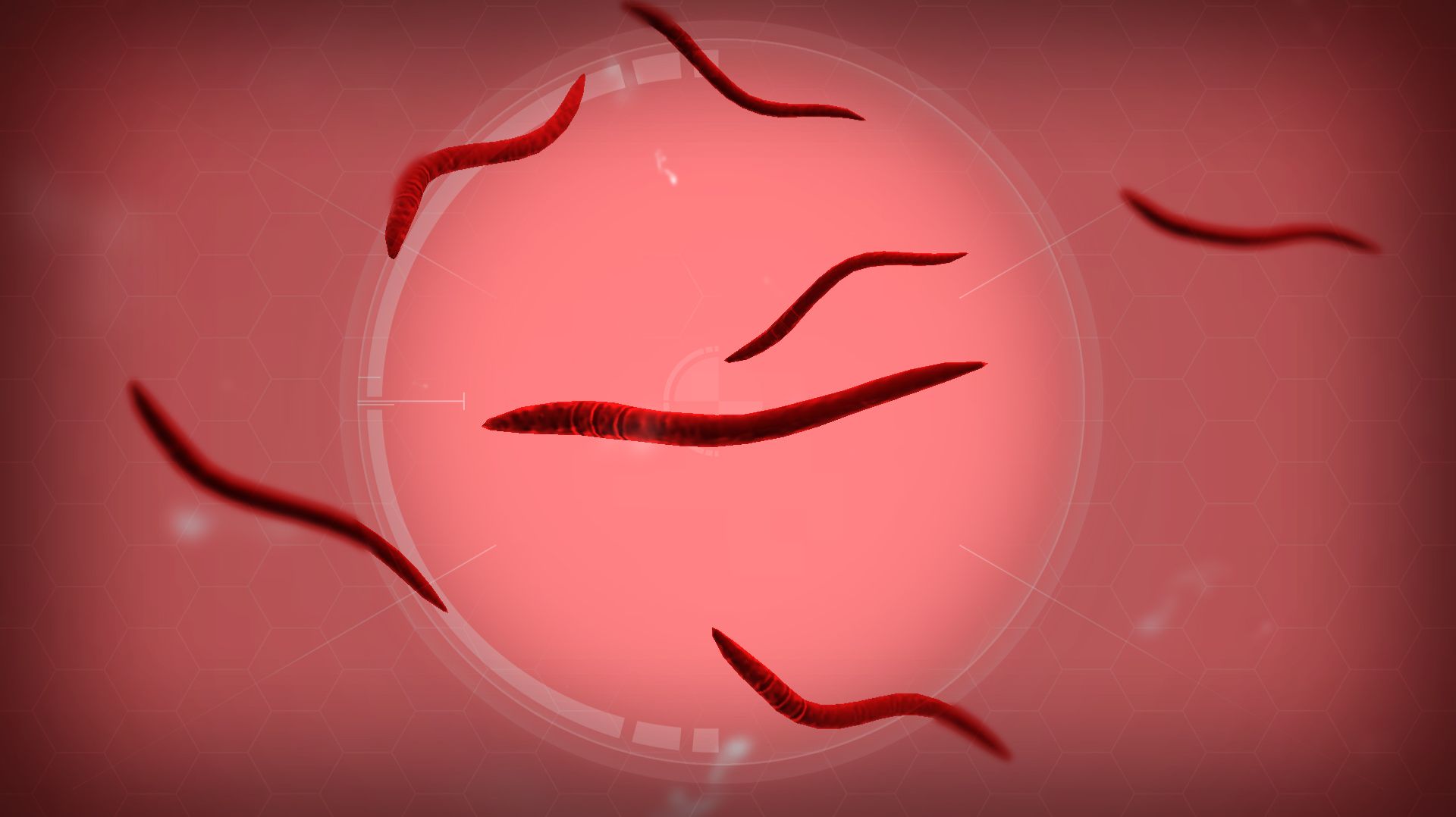 Plague Inc : Evolved , , Часть Шестая ' '