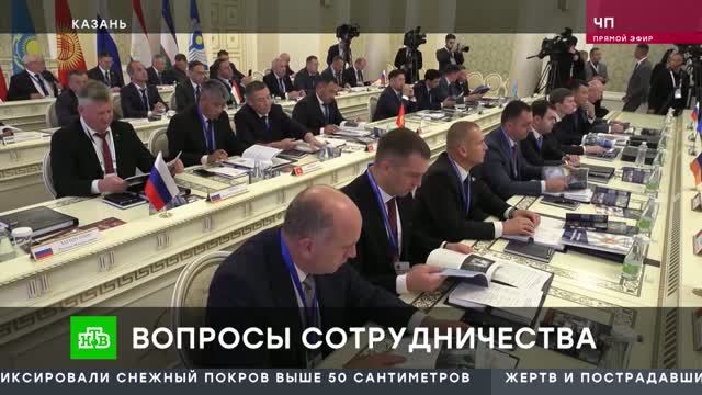 НТВ ЧП. Вопросы сотрудничества