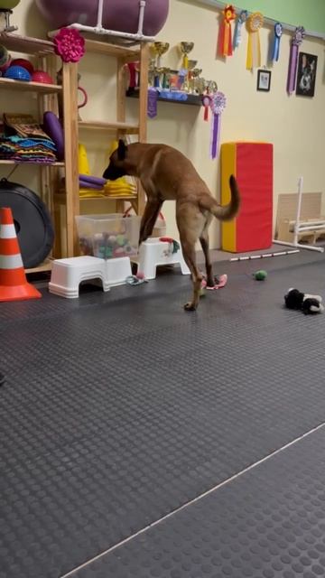 Погром везде! 🤣😍🤣