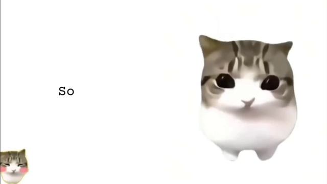 Дам дам Ди Ди Ди Ди 😺🥰