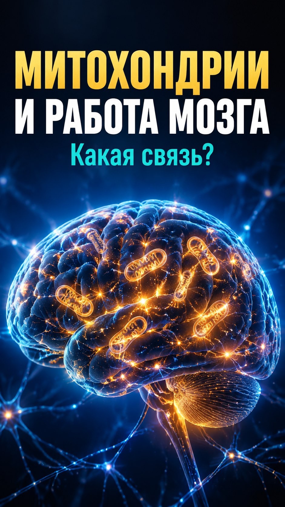 Митохондрии и работа мозга: какая связь?