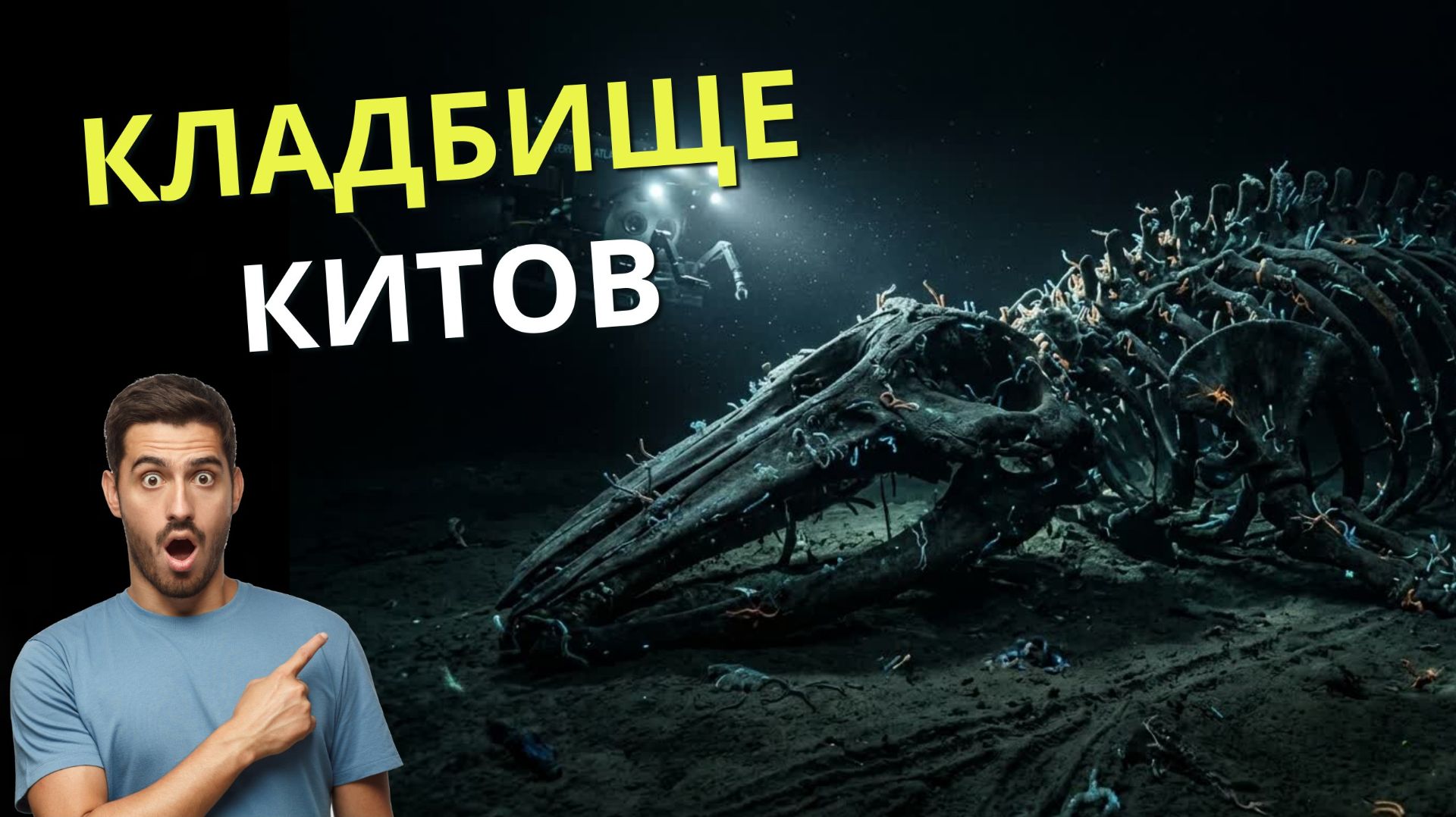 На глубине 7 км нашли кладбище китов возрастом 5 млн лет.
