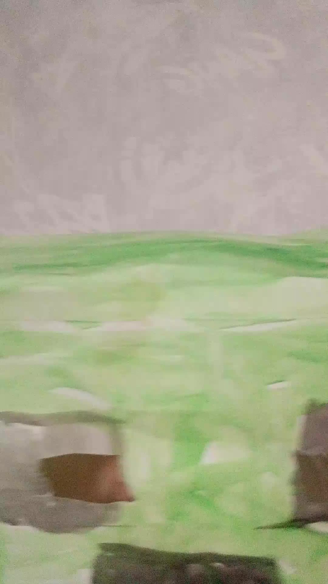 Fg