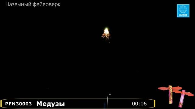 PFN30003 Медузы