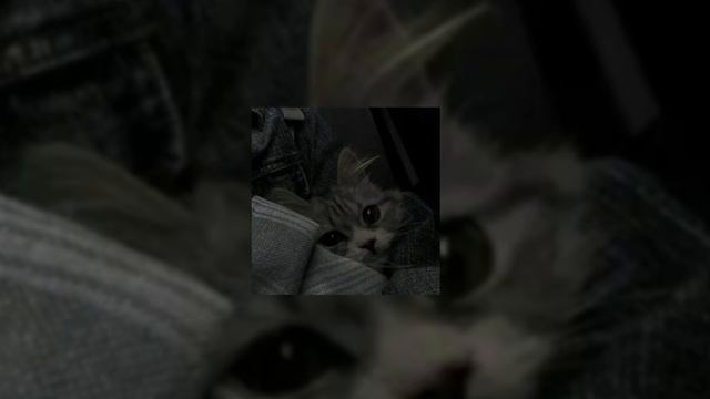 лучшие песни из тик тока ( Speed Up )