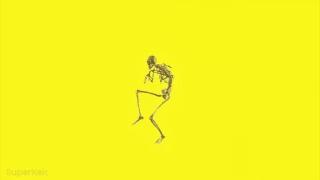 SKELETON VANITY