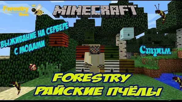 Minecraft: Стримы, прямые трансляции