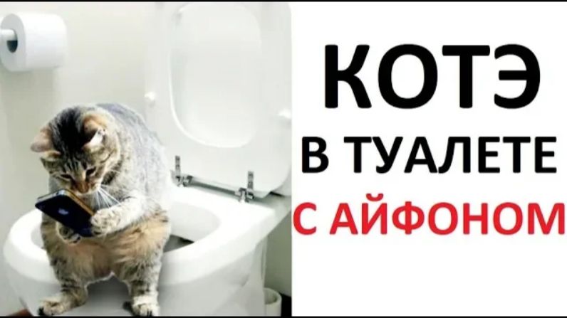 Лютые приколы. Кот в туалете с айфоном