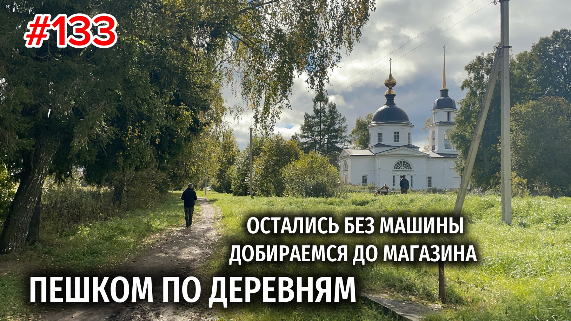 Остались в деревне без машины. Готовим огород к зиме. Пересадка цветов.