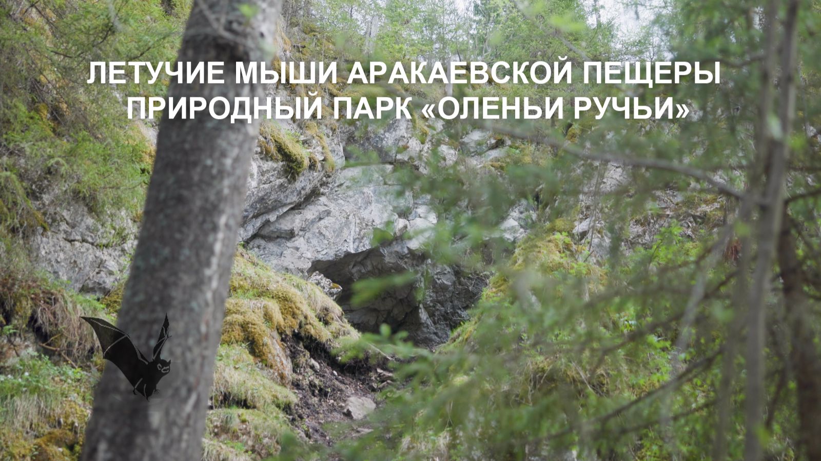 Школа экологической спелеологии