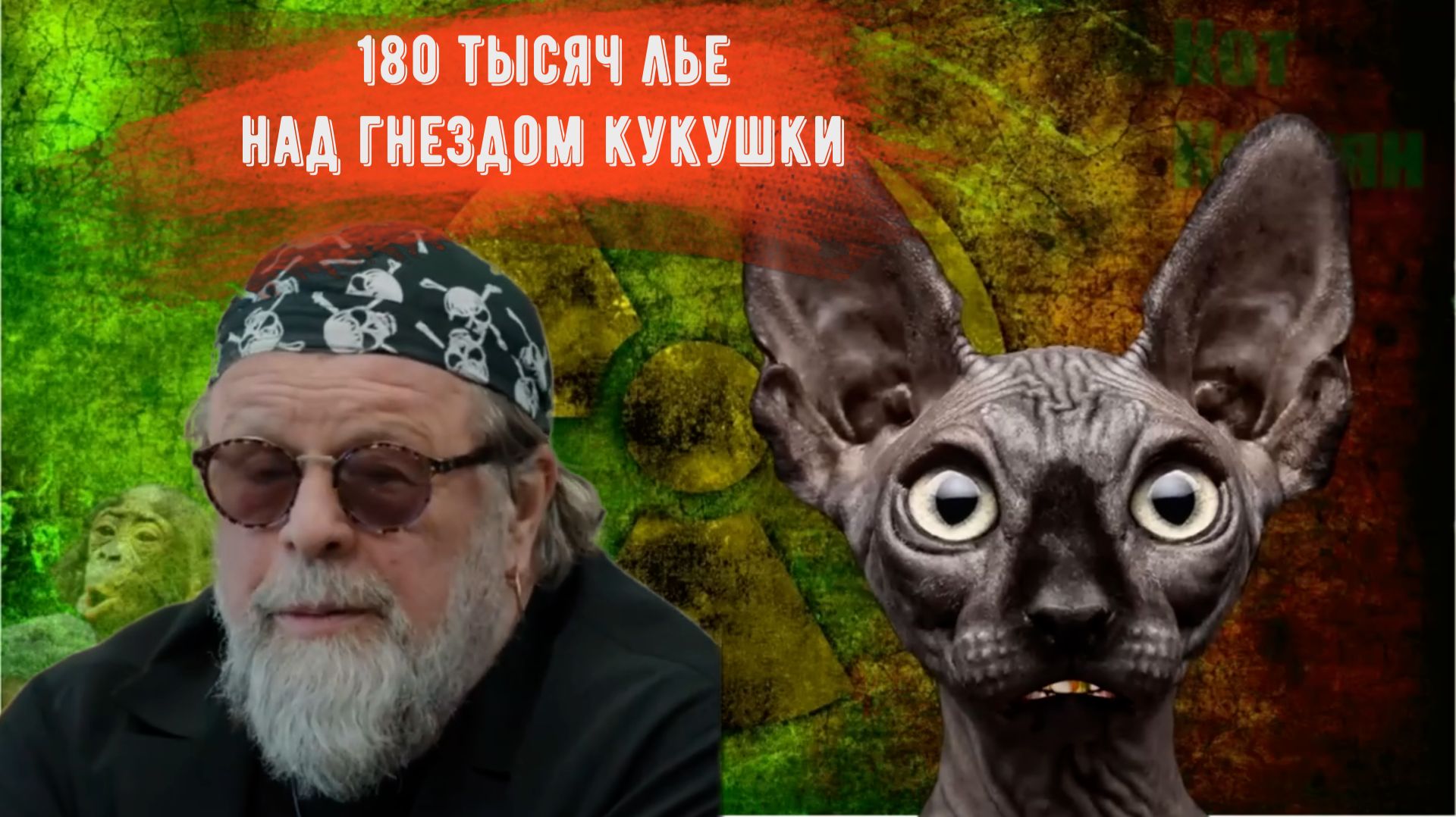 180 тысяч лье над гнездом кукушки. Кот Костян. Лучшее. (You Tube - 24)