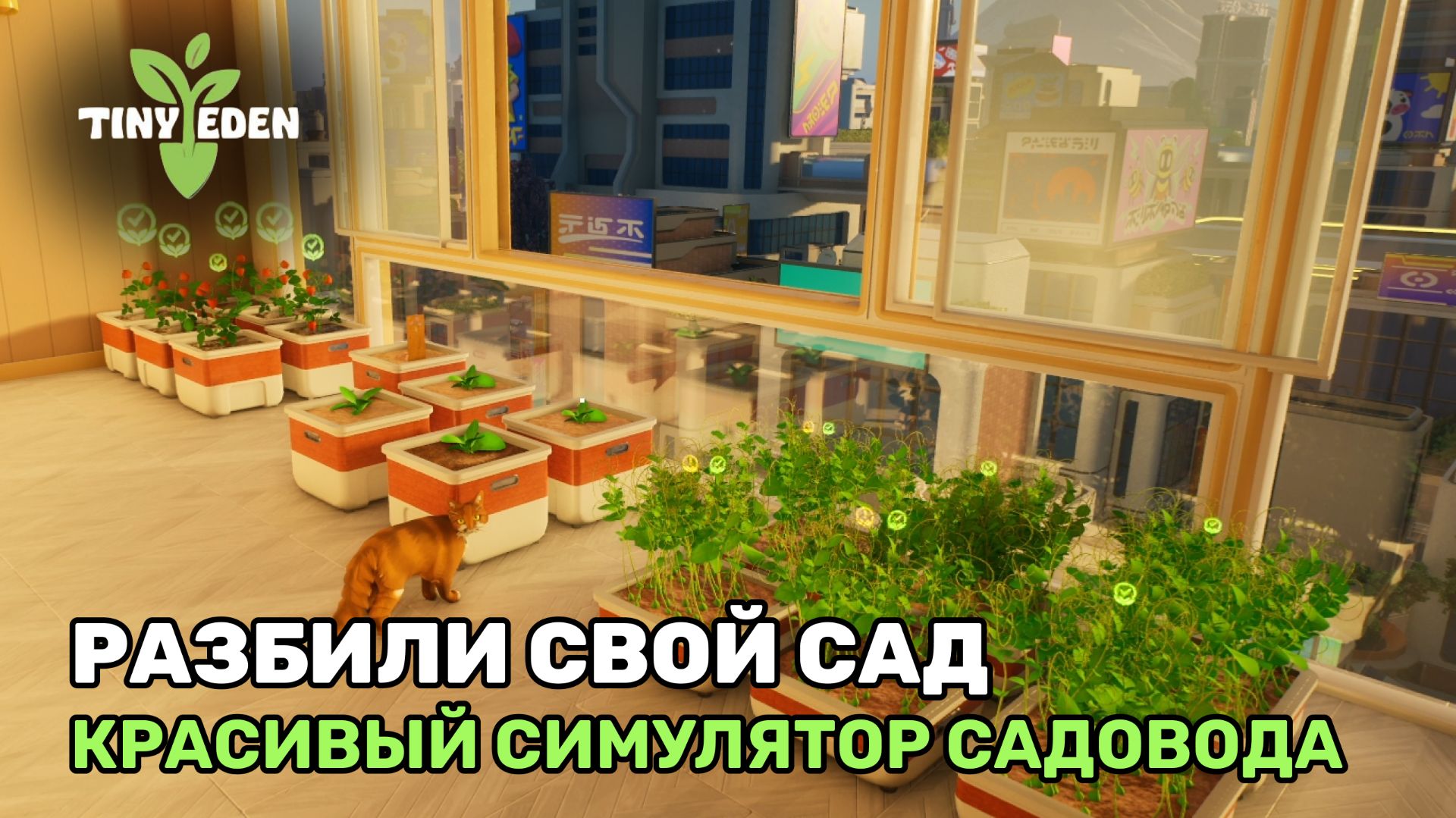 Давай глянем