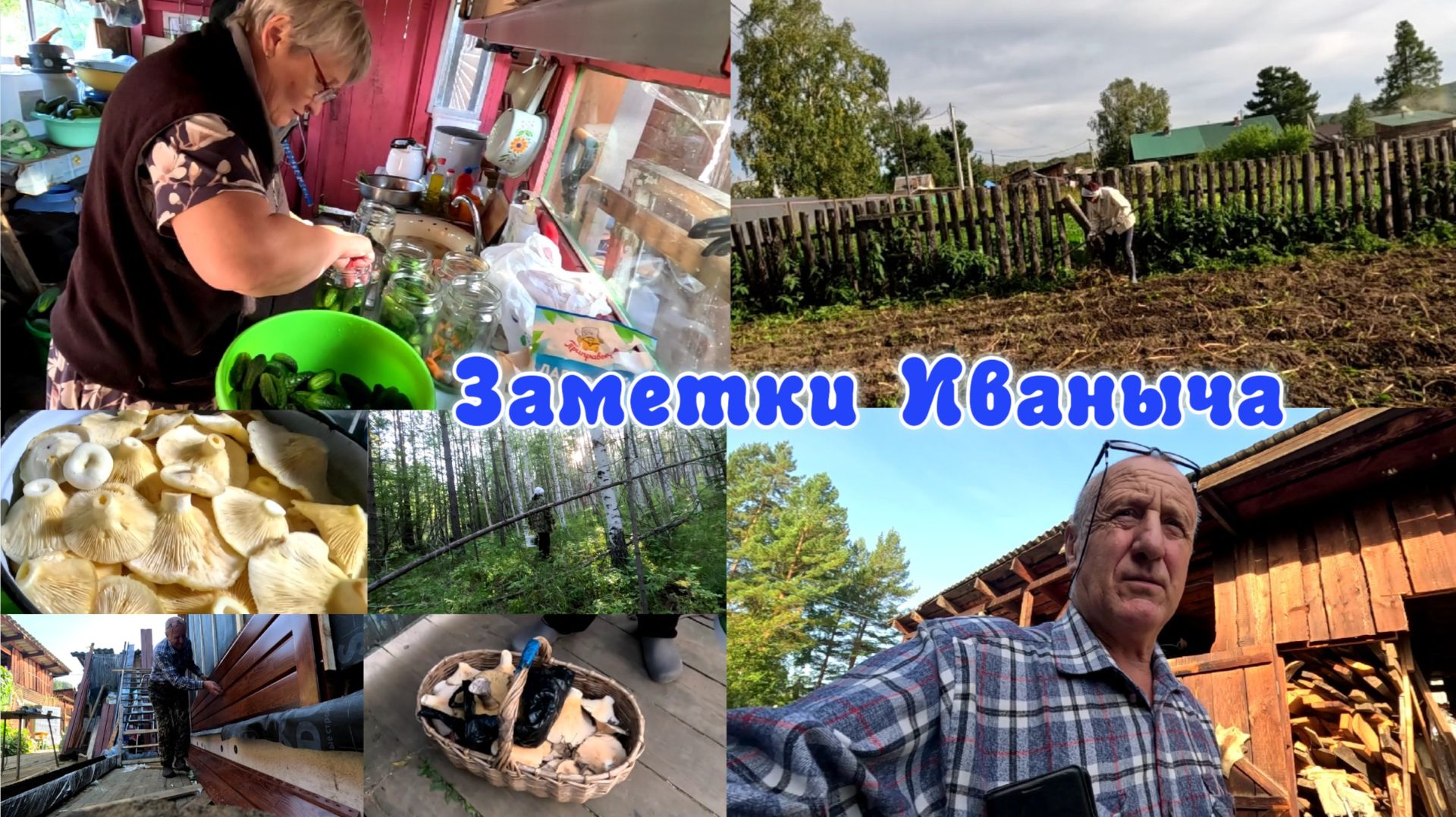 Огородные работы, грибы, начинаем копать картошку