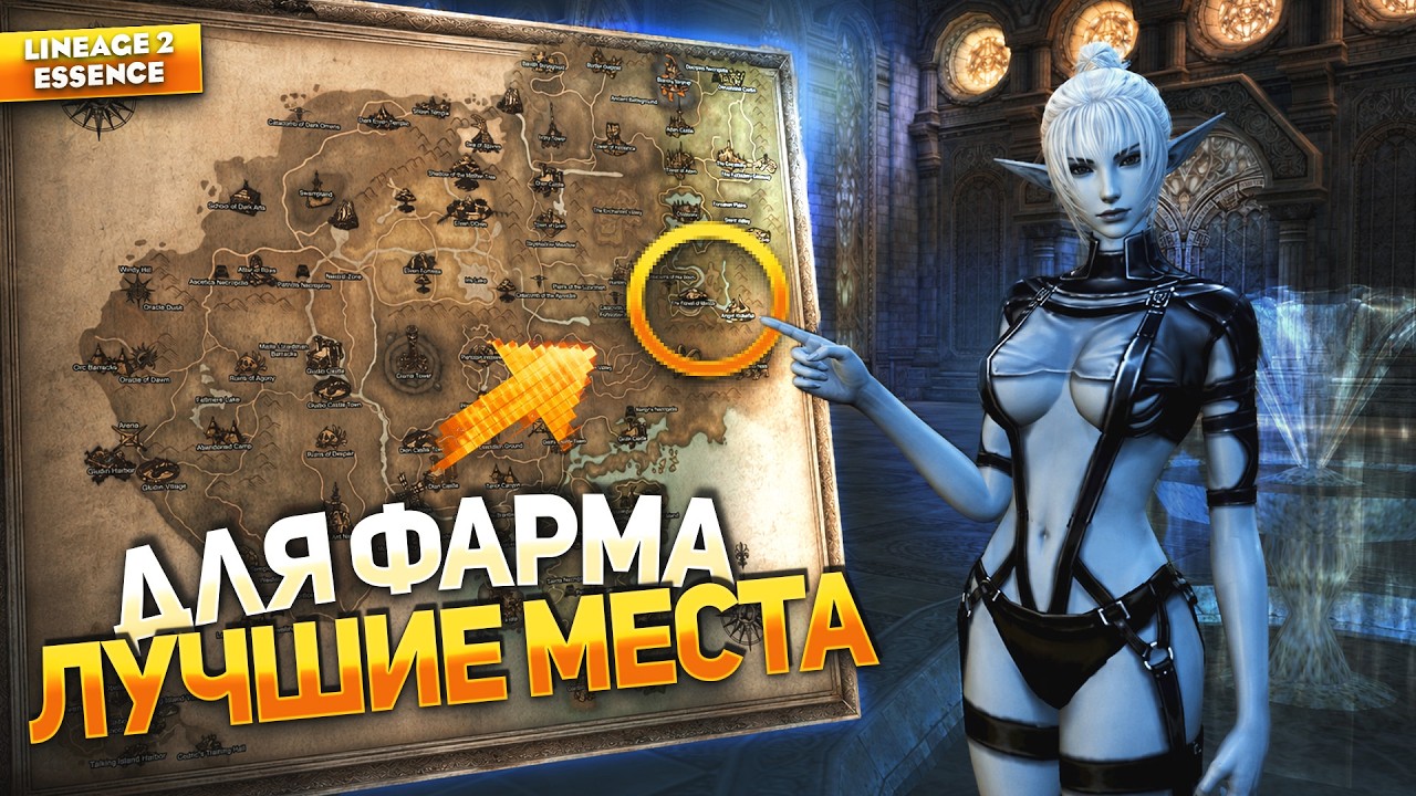 ЛУЧШИЕ МЕСТА ДЛЯ ФАРМА в 2026 году в Lineage 2 Essence