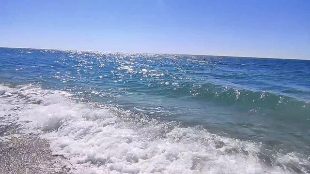 Абхазия Цитрусовый совхоз Пансионат Сосновая роща Пляж Море Подводная съёмка Олимп 12 сентября 2026
