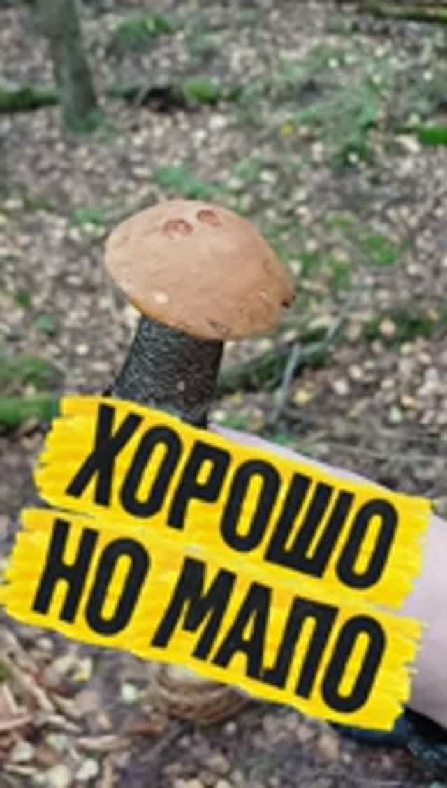 Хорошо, но мало 🤔👀