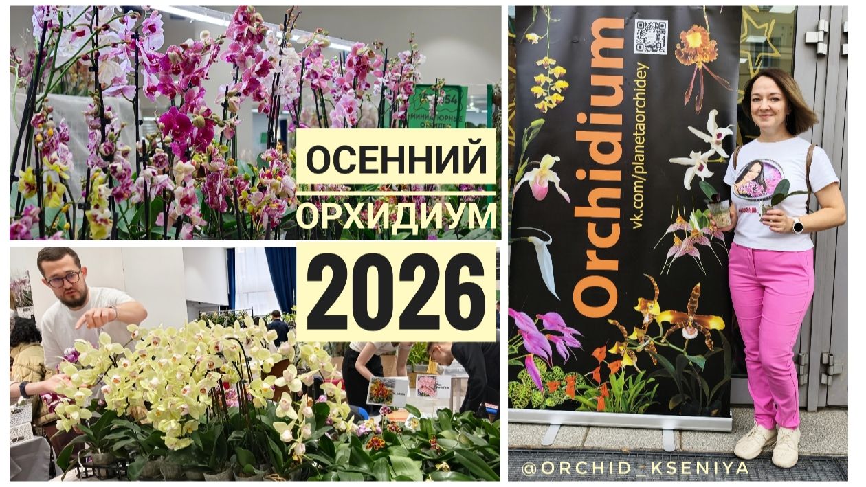 Выставка Орхидиум - сентябрь 2026 | Море орхидей🔥 Без покупок не ушла😉 | Обзор