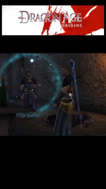Он этого не делал. Dragon Age: Origins - Awakening