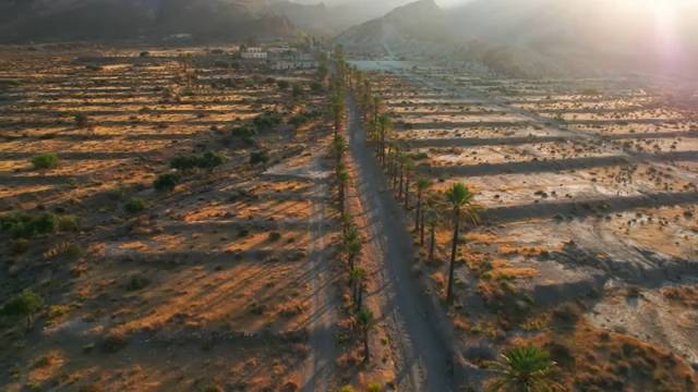 LIANA | Melodic House & Techno Set From Sunny Palm Springs!