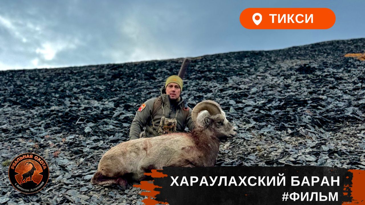 ЯКУТИЯ | ХАРАУЛАХСКИЙ БАРАН | ФИЛЬМ