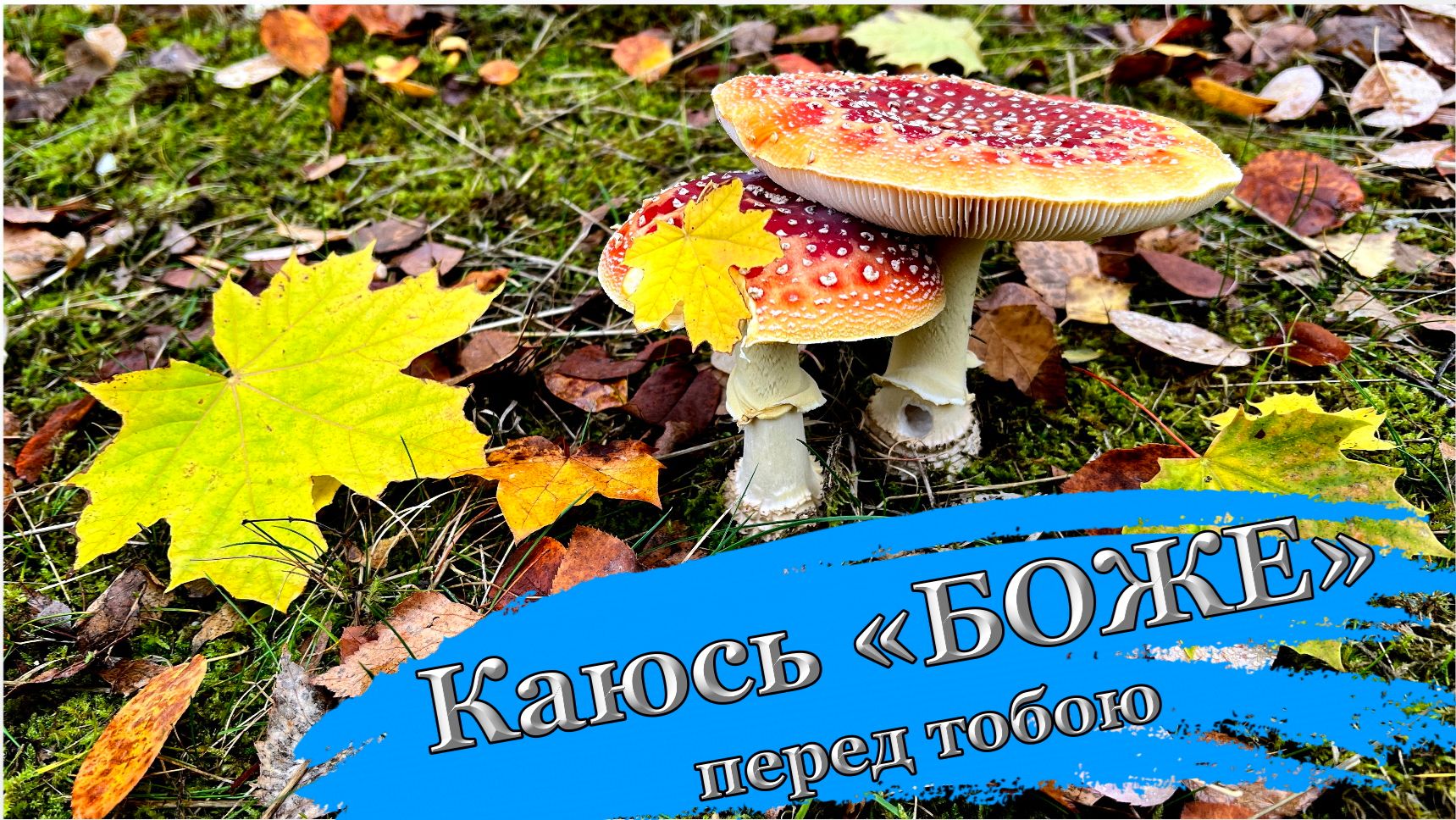 Каюсь «БОЖЕ» перед тобою, ты прости мои грехи🙏.