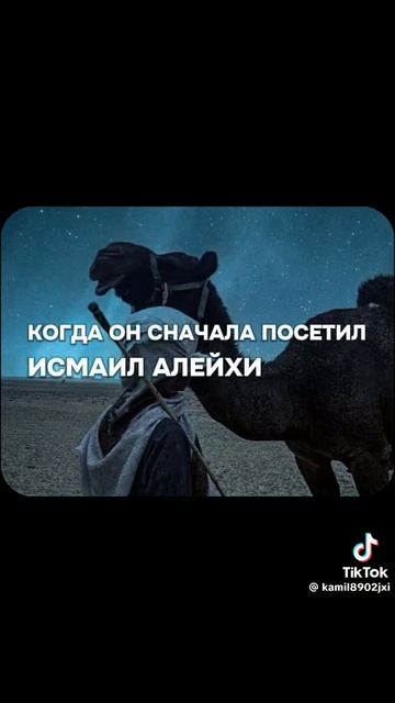 Слушать 24