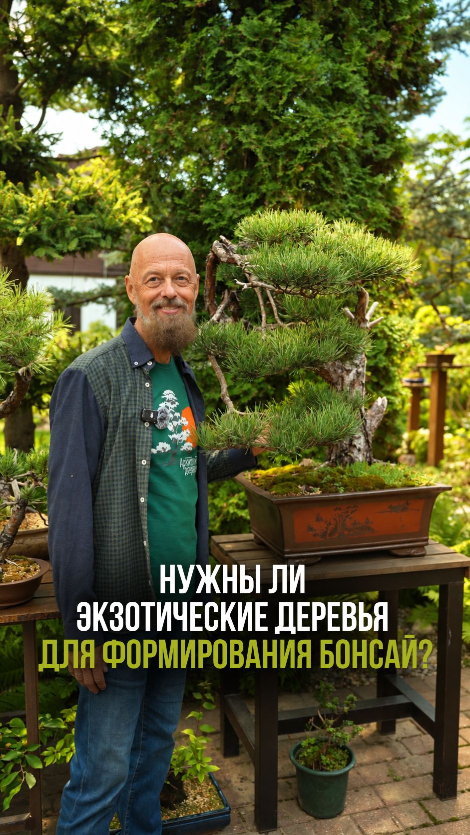 Нужны ли экзотические деревья для формировании бонсай