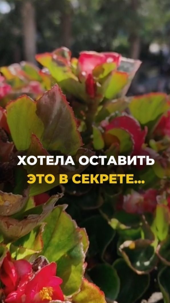 Хотела оставить это в секрете…