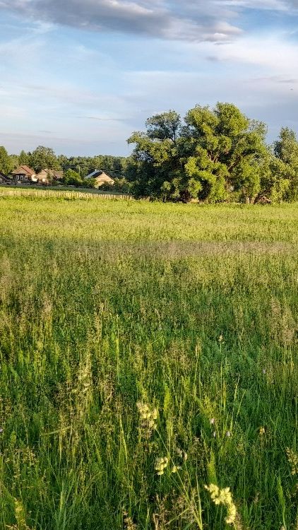 Продажа участка в Мазикино р.Марий Эл