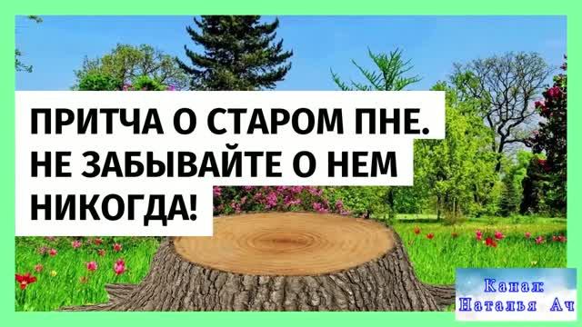 Притча о старом пне. Не забывайте о нем никогда!