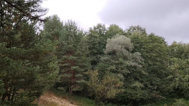 Стоит ли подключать на Рутубе монетку?