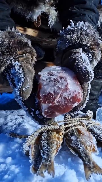 НЕВЕРОЯТНЫЙ ФАКТ: Как выживали в полной темноте сотни лет назад!