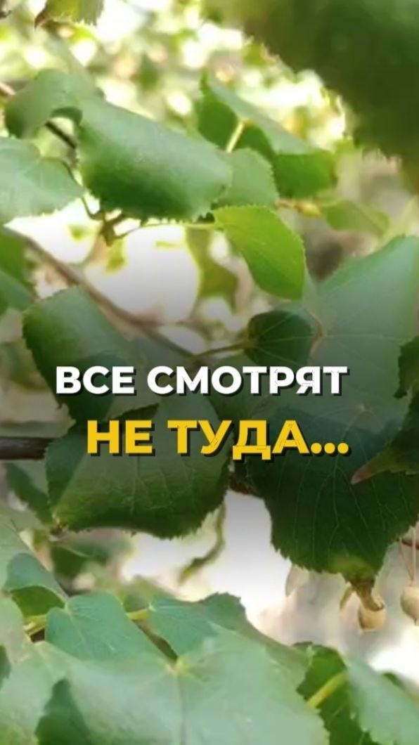 Куда сначала посмотрел твой взгляд?