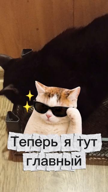 Моя территория