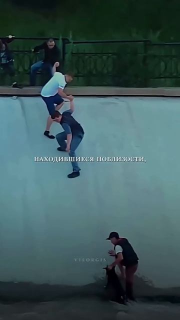 Песня Nebolubvi - Дорогою добра