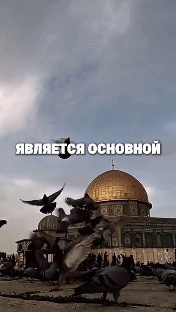 Даюс