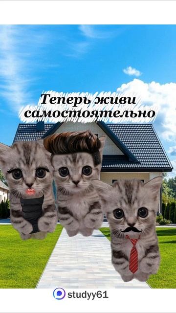 Поясняю на котятах